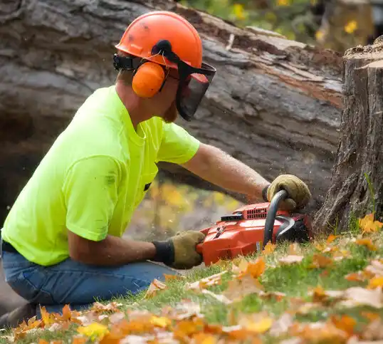 tree services Loving